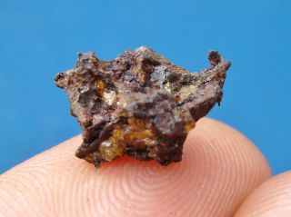 Belarus метеорит Meteorite Brahin Pallasite 1.  48 Grams