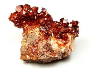 Minerals : Red Vanadinite Crystals On Matrix From Morocco