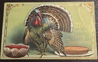 Vintage Gilded And Embossed Tom Turkey Thanksgiving Postcard,  Circa 1908 - 1912