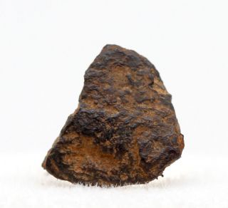 Mundrabilla Iron Meteorite Mineral Specimen Australia W/ Case & Id Card
