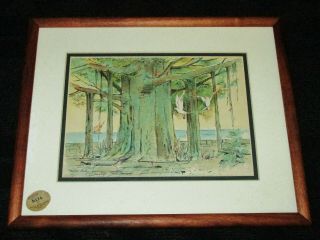 Hawaii Signed Drawing W/ Watercolor Banyan 3 Bob Dahlquist Solid Koa Wood Frame