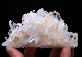 231g Find Rare Beauty Natural White Clear Quartz Crystal Cluster Specimen776
