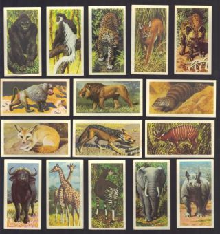 Cigarette/trade/cards.  Brooke Bond Tea.  African Wildlife.  (black) (set Of 50).  (1973)
