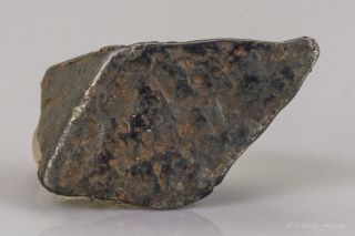 Meteorite Gibeon Iron Iva Fine Octahedrite Namibia 11.  7 X 6.  7 X 5.  6mm 1.  24gr