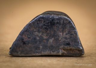Meteorite Gibeon Iron Iva Fine Octahedrite Namibia 8.  4 X 5.  2 X 3.  7 Mm 0.  79 Gr