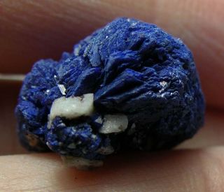 18.  20ct Africa Natural Raw Deep Blue Azurite Crystal Mineral Specimen 3.  60g 15mm