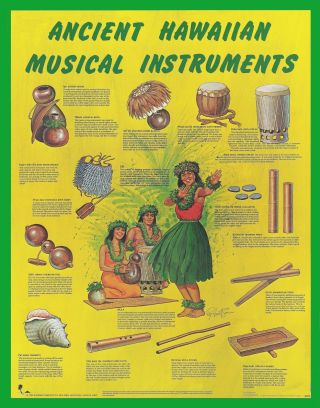 Ancient Hawaiian Musical Instruments Poster - 22 " X 28 " By Artist Roy Hewetson