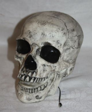 Lmas Occasions Battery Operated Talking Skull Halloween Decoration