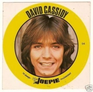 David Cassidy - Vintage Joepie Sticker Card Look