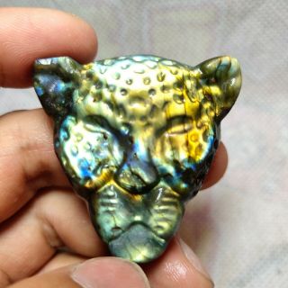 36g Natural Labradorite Crystal Hand Carved Leopard 
