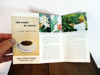 The Story Of Coffee From Seed To Cup Isaly Dairy Stores Youngstown Ohio