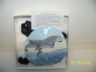 Hand Painted Dolphins Sand Dollar W/ Legend
