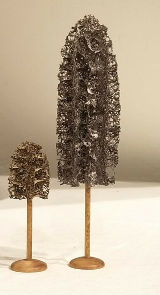 Two Luffa Sponge Trees,  With Wooden Bases.  2008.  Hand - Crafted R.  J.  Fiene,  Wi