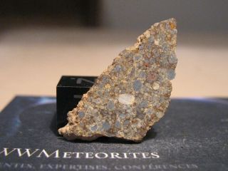 Meteorite Nwa 10662 - Chondrite Type Ll3.  5
