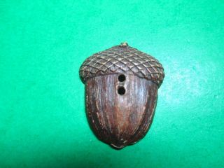 (1) Vintage 1&1/2 " Acorn Botanical Wood? Composite? Realistic 2 - Hole Button (c680)