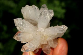 51g Naturaltibetan Skeletal Quartz Crystal Cluster Point Flower Mineral Specimen