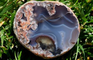 Agate Nodule Redskin Polished Sagenite Banding Blue Laguna Coyamito Condor Achat