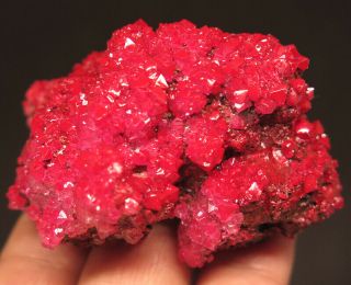 54mm 0.  7oz Red Chalcanthite Crystal Cluster Mineral Specimen