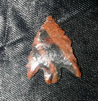 Authentic Arrowheads Artifacts Oregon Gem Grade 5/8 " Calapooya Sweet Ex Favell