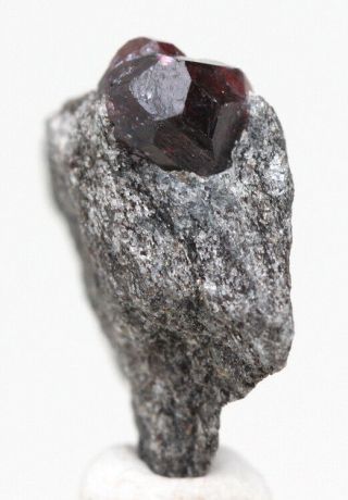 Alaskan Almandine Red Garnet Crystal Cluster Mineral Specimen Schist Alaska