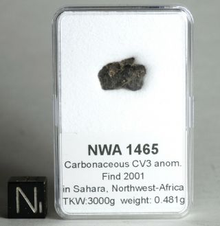 Meteorite Nwa 1465 - Cv3 Anom.  Carbonaceous Chondrite - Fragment In Display Box