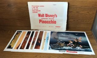 Vintage 1978 Disney Pinocchio Press Kit - 9 Movie Prints 11x14 Technicolor