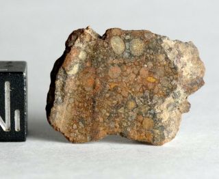 Meteorite Nwa 4022 - L3 Chondrite - Colorful Endcut