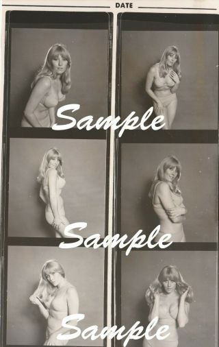 1 Legendary British Model Teri Martine - Rare Vintage B/w Contact Sheet Of Six