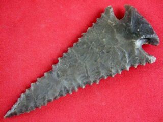 Fine Quality Authentic 3 1/4 Inch Kentucky Pine Tree Point Indian Arrowheads
