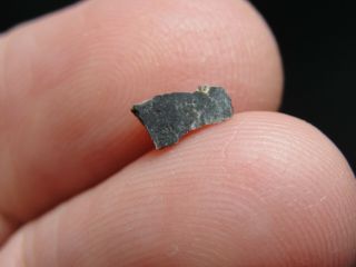 Meteorite Nwa 6355 Achondrite Lunar Feldspathic Breccia - 6355 - 0019 - 0.  07g