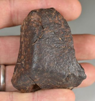 Crusted Chondrite Meteorite Nwa 112,  6 G Sahara