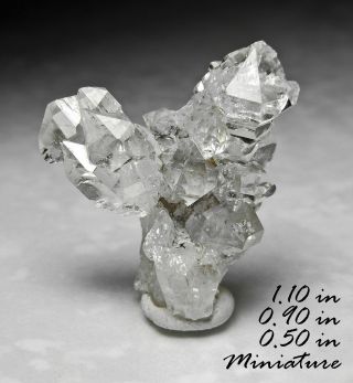 Herkimer Diamond Quartz China Minerals Crystals Gems - Thn