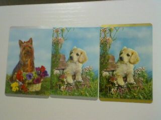 3 Swap/playing Cards - Set Cute Dogs And Puppies (2 X Blank Backs)