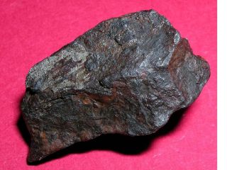 Canyon Diablo meteorite - 28.  6 gram individual 2