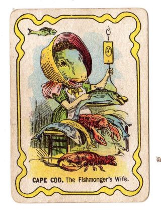 1897 Cape Cod The Fishmonger 