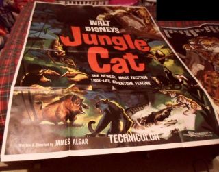 Walt Disney ' s Jungle Cat Limited Edition Lithograph Movie Poster 7 Ft 3