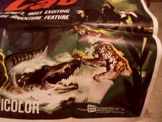 Walt Disney ' s Jungle Cat Limited Edition Lithograph Movie Poster 7 Ft 6