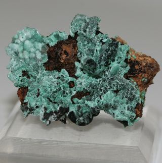 2 " Malachite Pseudomorph,  Omega Mine,  Arizona Mal2948