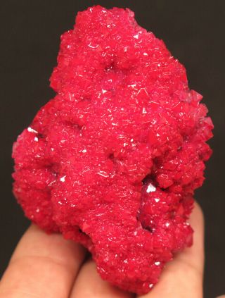 66mm 1oz Red Chalcanthite Crystal Cluster Mineral Specimen