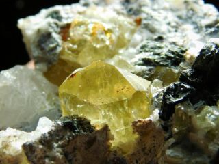 A 100 Natural Translucent Yellow Apatite Crystal In Matrix From Mexico 101gr E