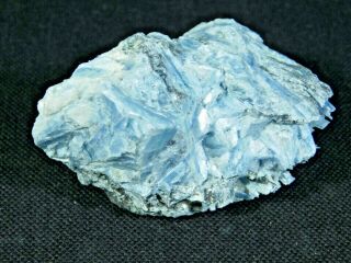 A 100 Natural Light Blue Paraiba Kyanite Crystal Cluster With Quartz 146gr E