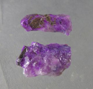 Dkd 49i/ 10.  1grams Partly Gel Sugilite Rough Pre Forms