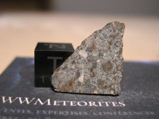 Meteorite Nwa 12547,  Classified As L3 - Melt Breccia
