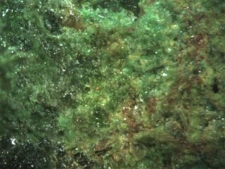 Hydrohonessite Rare Mineral Micromount From Australia