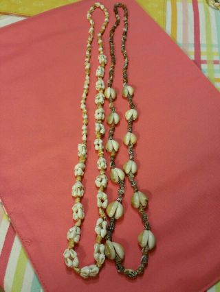 Antique Seashell Necklace 31 " L.