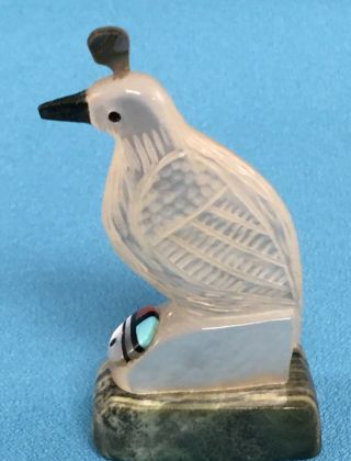 Zuni Carved Mother - Of - Pearl Quail Fetish With Sun Face By Darrin Boone,