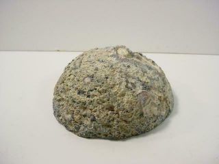 NobleSpirit {3970}Beautiful Agate in Geode Piece 2