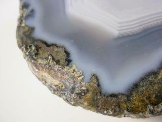 NobleSpirit {3970}Beautiful Agate in Geode Piece 4