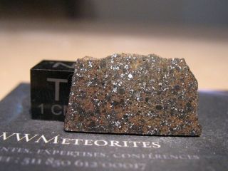 Meteorite Nwa 8138,  Chondrite H6 With Low Tkw (67.  8g)