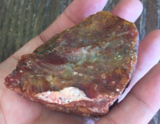Rare Exotic Gemstone Rock Stone Mineral Specimen 117 3